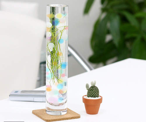 《日本正夯玻璃杯水草》辦公室養水草才是王道 《日本正夯玻璃杯水草》辦公室養水草才是王道