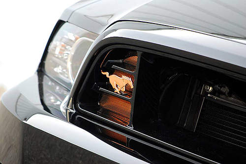 壞壞惹人愛《福特野馬》怎麼能缺席SEMA改裝展？