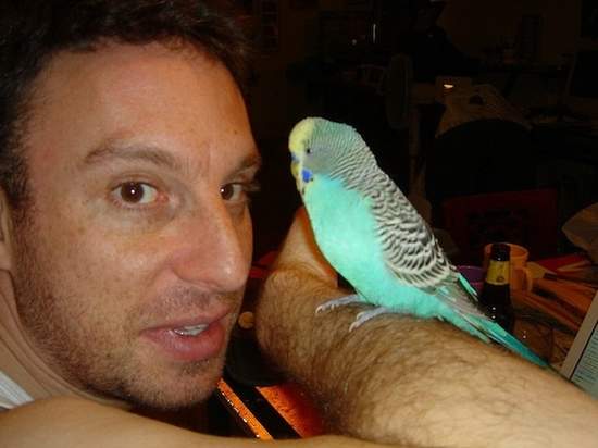 小鳥也是人類的好兄弟  不信你看~ 小鳥也是人類的好兄弟  不信你看~