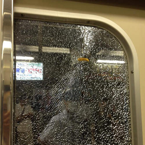 讓電車停駛的最強薯條現身 到底是有多硬啦wwwww 讓電車停駛的最強薯條現身 到底是有多硬啦wwwww