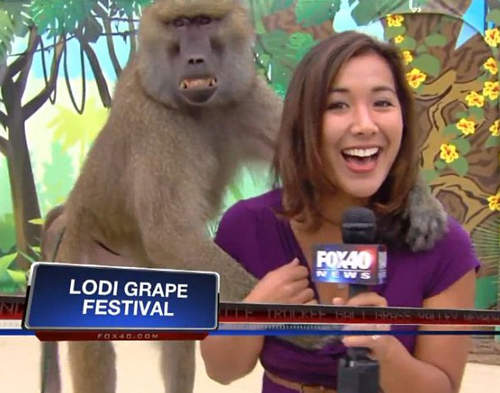 直擊!《猴抓奶》秀~這時候就考驗記者的功力了(//▽//) 直擊!《猴抓奶》秀~這時候就考驗記者的功力了(//▽//)