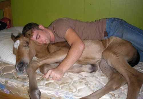 《喝醉時帶回家的東西》你真的什麼都不知道嗎？