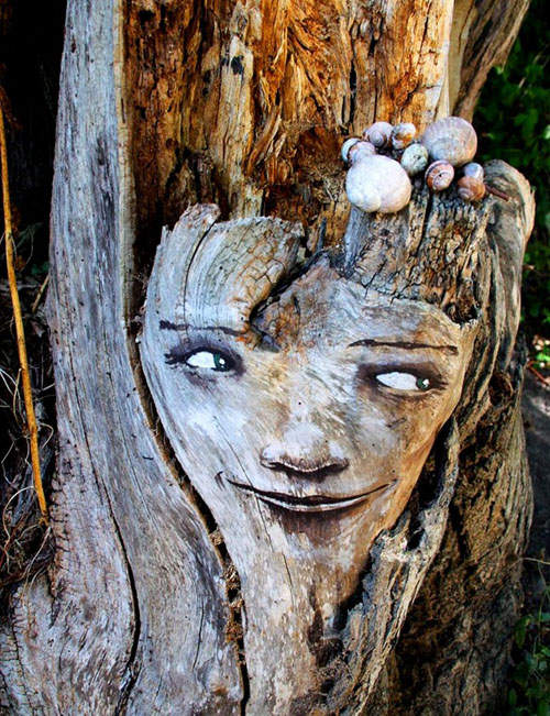 現實版《樹精》 ~ 它們跟人一樣會哈哈大笑喔 現實版《樹精》 ~ 它們跟人一樣會哈哈大笑喔