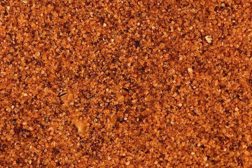 《動物叢林隱身術》~你找不到我~你找不到我~