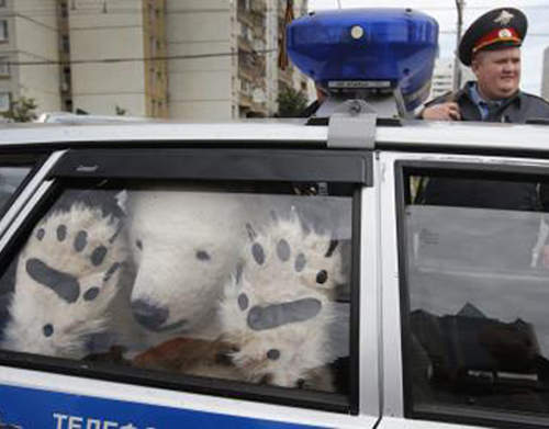 《北極熊車檢員》警察叔叔我不是偷車賊啦www