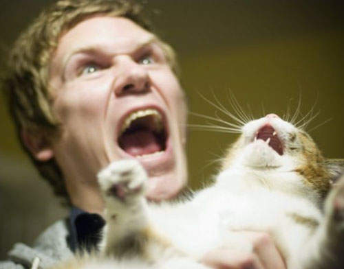 《拒絕抱抱的貓》喵的~就說不要抱我了~~~ 《拒絕抱抱的貓》喵的~就說不要抱我了~~~