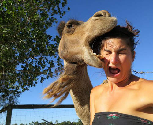 《野性vs女性》女人被動物襲擊驚恐事件到處有！？