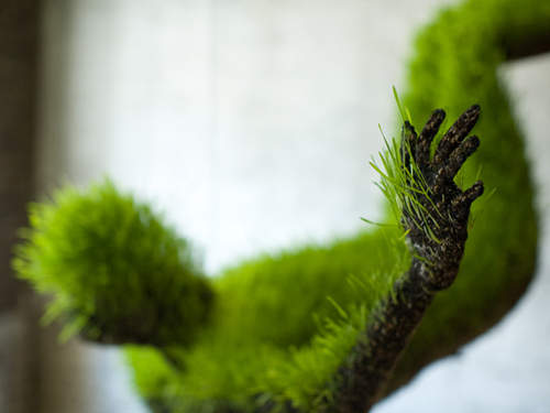 《植物人雕像》隨著時間長成綠色毛怪~ 《植物人雕像》隨著時間長成綠色毛怪~