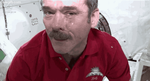 Результат пошуку зображень