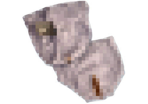 《髒內褲錢包》＂屎＂上最安全的鈔票放置處～