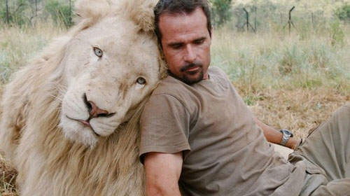 《獅子好友》躺在牠們身上睡覺感覺好舒服喔Zzzz