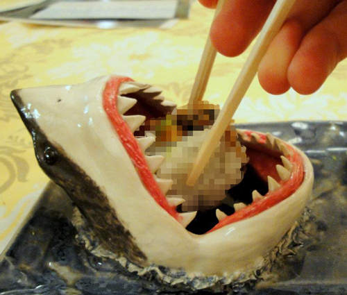 《鯊魚壽司盤》媽...我的盤子裡有鯊魚...⊙.◎