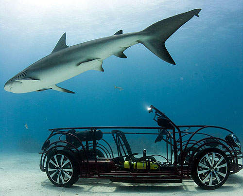 《VW敞篷金龜車》是被鯊魚啃到只剩下骨架了嗎?(驚) 《VW敞篷金龜車》是被鯊魚啃到只剩下骨架了嗎?(驚)