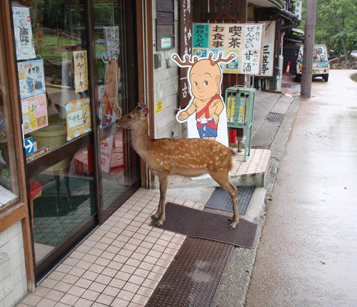 奈良縣民才懂的事　原來大家都有被鹿追過啊wwww