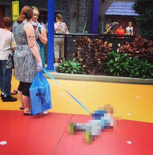 《放開那小孩》他們真的不像狗狗可以溜啦！