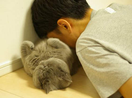 《睡不好的下場》失眠變胖又變笨真是慘慘慘 《睡不好的下場》失眠變胖又變笨真是慘慘慘