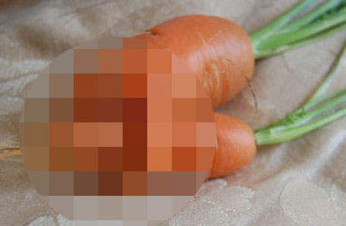 《擁抱蘿蔔》這蘿蔔令人不想歪也難啊//▽// 《擁抱蘿蔔》這蘿蔔令人不想歪也難啊//▽//