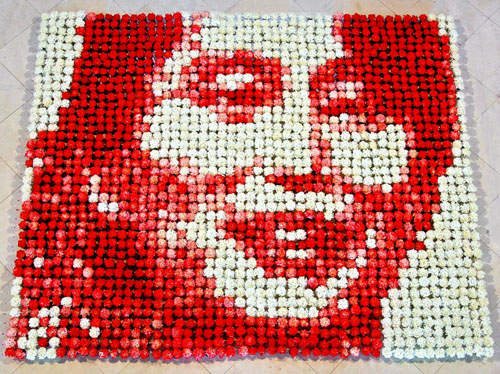 康乃馨《翁山蘇姬》放越久她的臉越紅(//▽//) 康乃馨《翁山蘇姬》放越久她的臉越紅(//▽//)