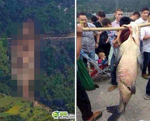 大陸村民吃了超大魚 山體滑坡的區域卻激似魚形?! 大陸村民吃了超大魚 山體滑坡的區域卻激似魚形?!