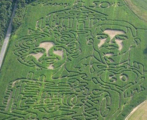 美 老爺爺的50周年結婚紀念禮~實在就甘心ㄟಥ_ಥ