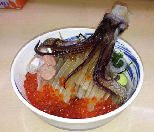 看百萬夜景前先來一碗《活跳跳魷魚丼》函館名物