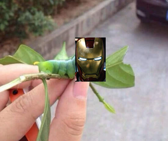 激似《鋼鐵毛毛蟲》是鋼鐵人的祕密武器嗎？