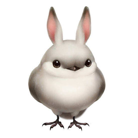 《什麼鳥》不一樣的超萌的鳥繪圖