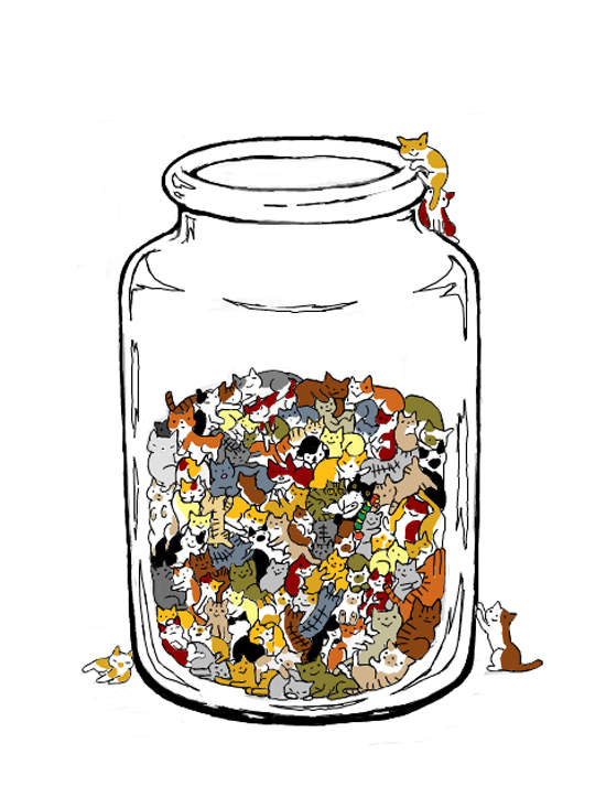 《貓的飲料》看起來好像好吃的ＱＱ糖