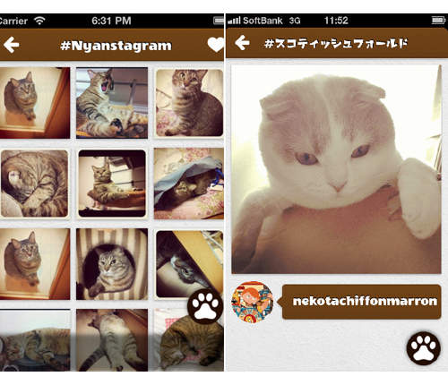 貓的Instagram《Nyanstagram》按照貓種分類的超方便app 貓的Instagram《Nyanstagram》按照貓種分類的超方便app