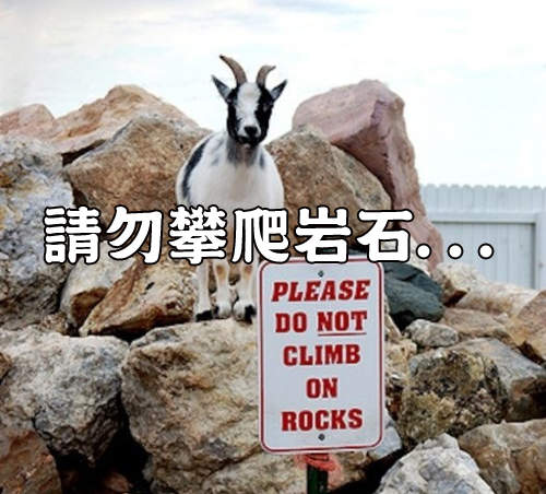 《超叛逆的動物們》欸欸欸標示牌看一下嘛... 《超叛逆的動物們》欸欸欸標示牌看一下嘛...