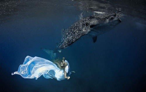 《與鯊共舞》 雖然我很醜但我真的很溫柔