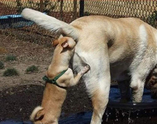 《女人香味》讓男人受不了的味道是？