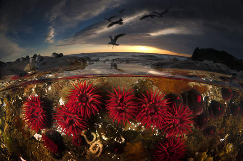 老外心中「值得收藏」的2013國家地理參賽攝影作品   你最愛哪一張呢