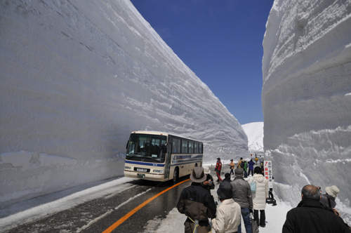 日本富山《立山黑部》此生不可不看的絕美景色 日本富山《立山黑部》此生不可不看的絕美景色