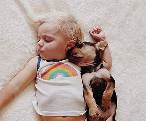 超級《好睡友》小主人在哪，我就跟他睡到哪Zzzz....