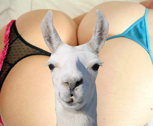 尻尻會讓男人興奮　讓人心跳加速的臀部曲線