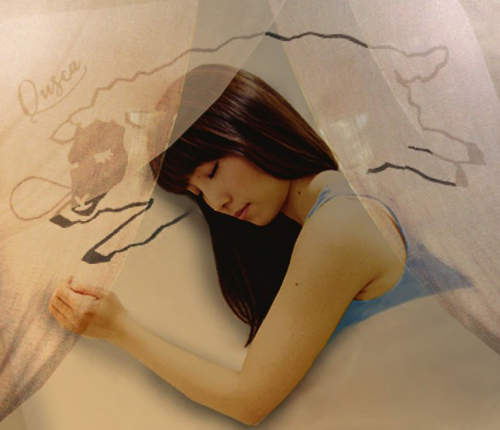 女性限定的《午睡咖啡廳》是真的有床給妳躺喔～