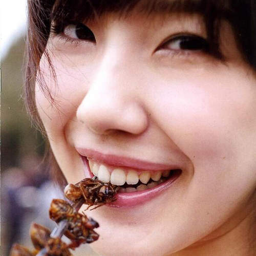 《昆蟲料理寫真集》哼!不要以為用正妹就可以騙到我吃蟲蟲 《昆蟲料理寫真集》哼!不要以為用正妹就可以騙到我吃蟲蟲