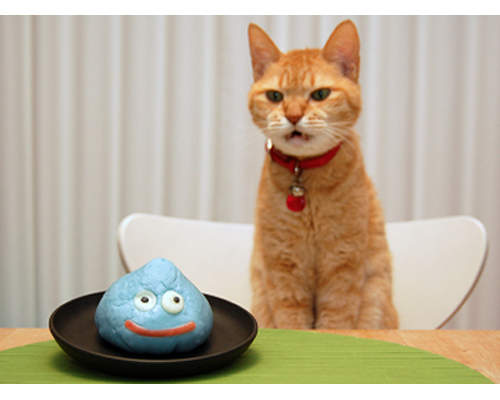 促進食慾貓咪食慾的《寵物飼料盤》狗狗也可以用嗎(舉手) 促進食慾貓咪食慾的《寵物飼料盤》狗狗也可以用嗎(舉手)