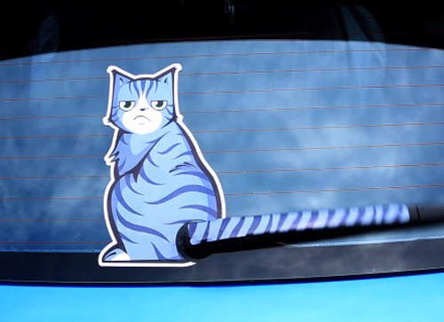 《貓咪雨刷貼》人類竟然叫我來掃水？（瞪）