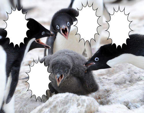 Twitter爆紅《企鵝對話框》網友的填字完全笑到炸www