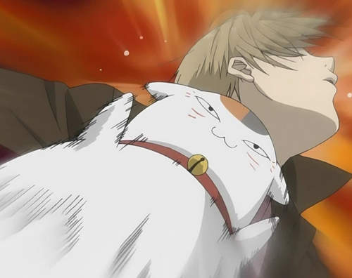 《妖怪動漫TOP10》這些妖怪作品你看過那幾部呢？