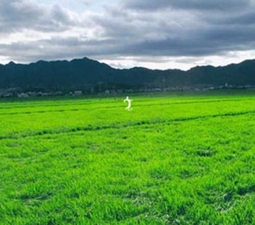 都市傳說:扭來扭去 千萬不要拿望遠鏡去看的怪談 都市傳說:扭來扭去 千萬不要拿望遠鏡去看的怪談