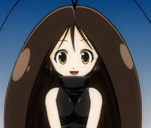 日本蟑螂出現率最高的都道府縣 還有鄉民討厭的蟲蟲排行榜一併送上 日本蟑螂出現率最高的都道府縣 還有鄉民討厭的蟲蟲排行榜一併送上