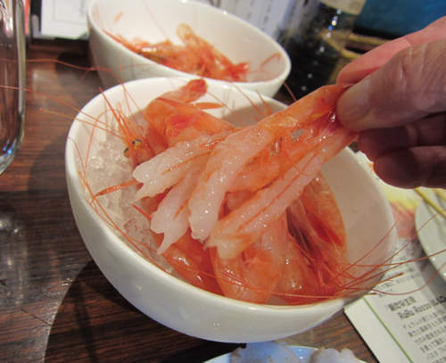 甜蝦樂園！一個銅板《甜蝦吃到飽》不看會後悔