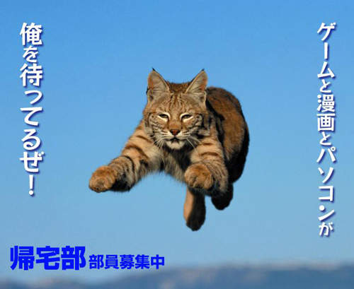 18張《歸宅部海報》你知道日本最宅的社團是什麼嗎？