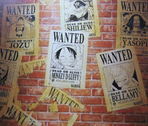 航海王懸賞獎金排行　2014年日本網友整理版送上