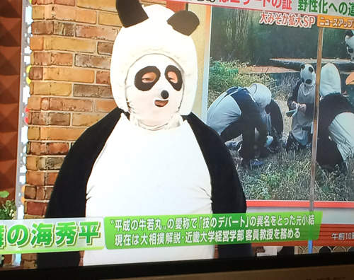 超可愛《熊貓裝》只差一點就像圓仔了? 超可愛《熊貓裝》只差一點就像圓仔了?