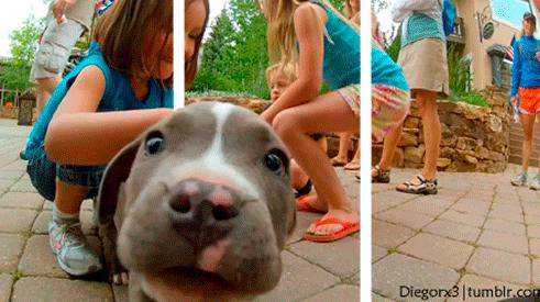 《3D動圖》加兩條線居然這麼有效果(☉д⊙)