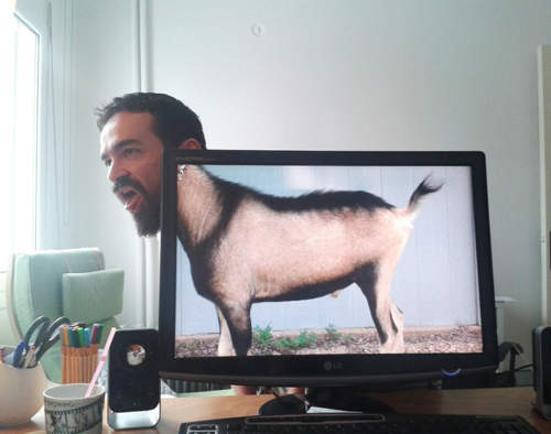 精選15張《動物借位照》上班無聊嗎？那就來玩樂吧